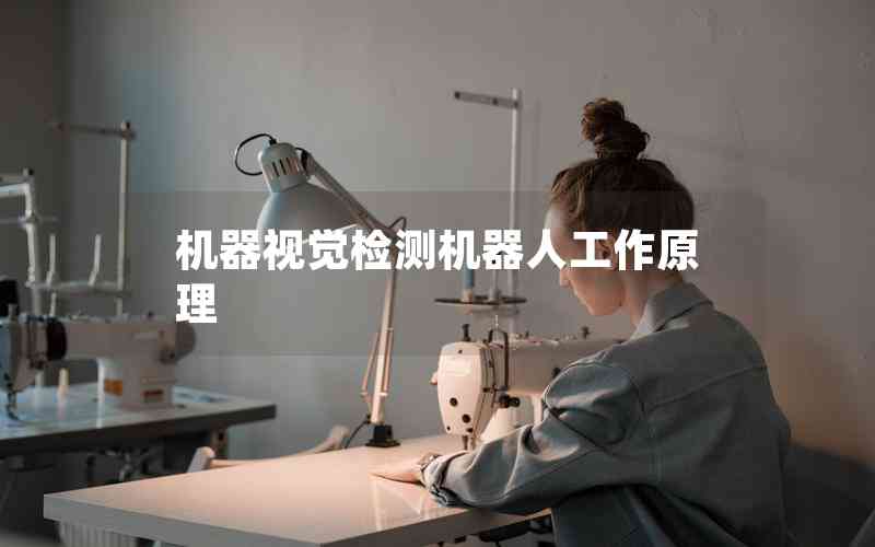 機(jī)器視覺檢測機(jī)器人工作原理 機(jī)器視覺檢測機(jī)器人工作原理