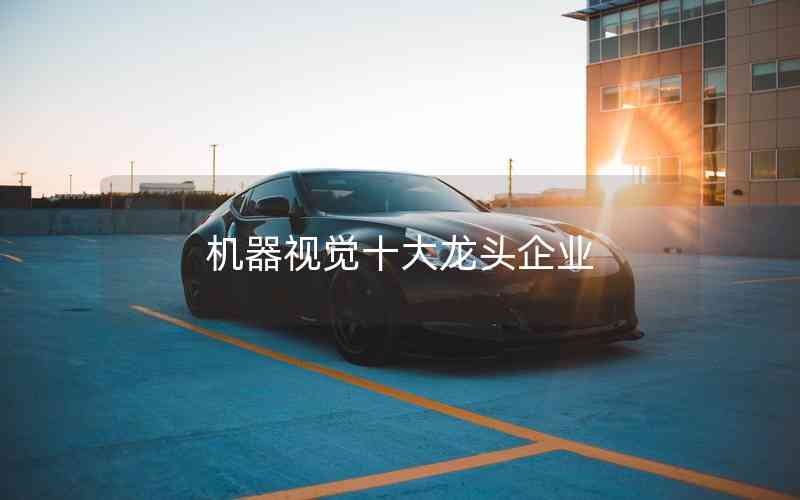 機(jī)器視覺十大龍頭企業(yè) 機(jī)器視覺十大龍頭企業(yè)