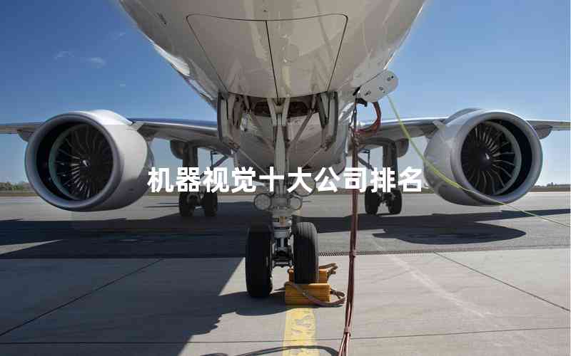 機(jī)器視覺(jué)十大公司排名 機(jī)器視覺(jué)十大公司排名