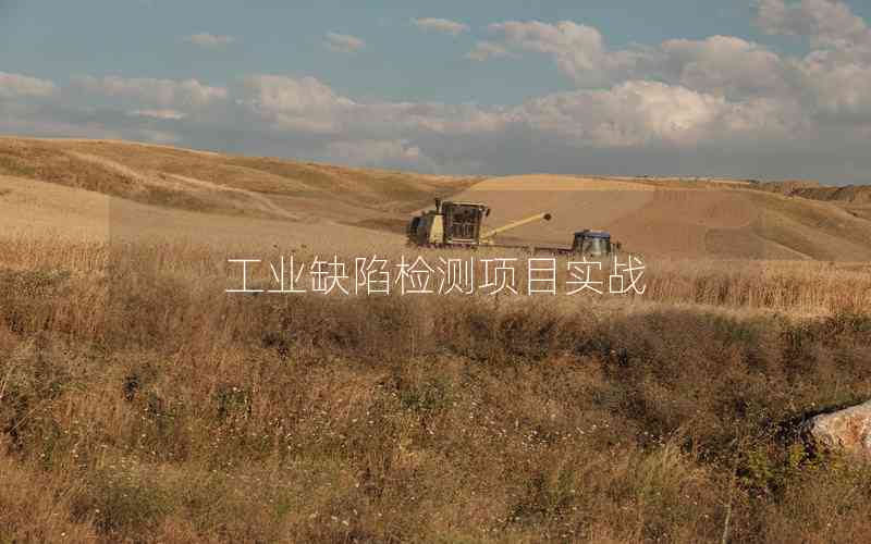 工業(yè)缺陷檢測項目實戰(zhàn) 工業(yè)缺陷檢測項目實戰(zhàn)