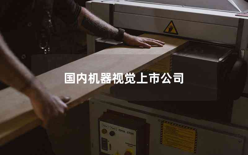 國內(nèi)機(jī)器視覺上市公司 國內(nèi)機(jī)器視覺上市公司