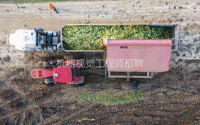 機器視覺工程師招聘 機器視覺工程師招聘