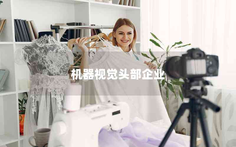 機(jī)器視覺頭部企業(yè) 機(jī)器視覺頭部企業(yè)