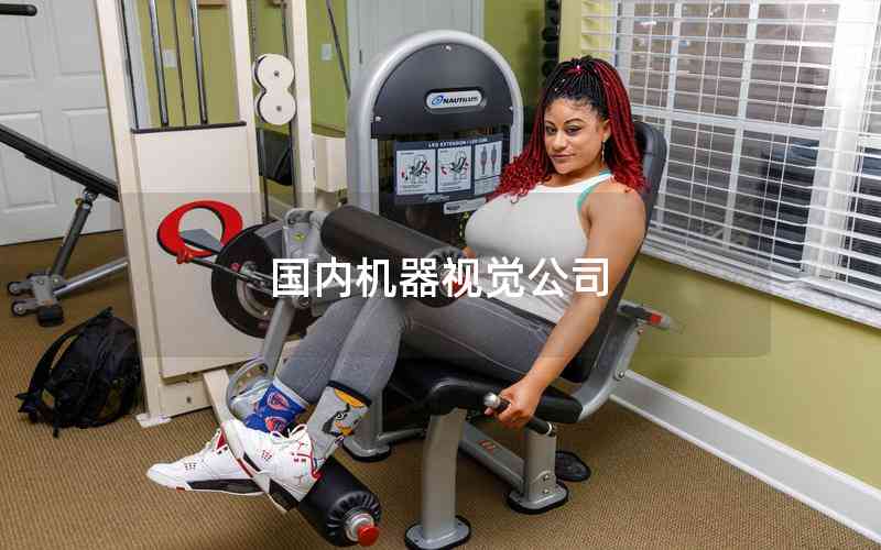 國內(nèi)機(jī)器視覺公司 國內(nèi)機(jī)器視覺公司