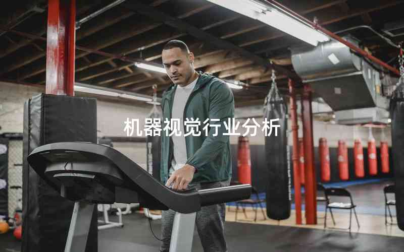 機(jī)器視覺行業(yè)分析 機(jī)器視覺行業(yè)分析