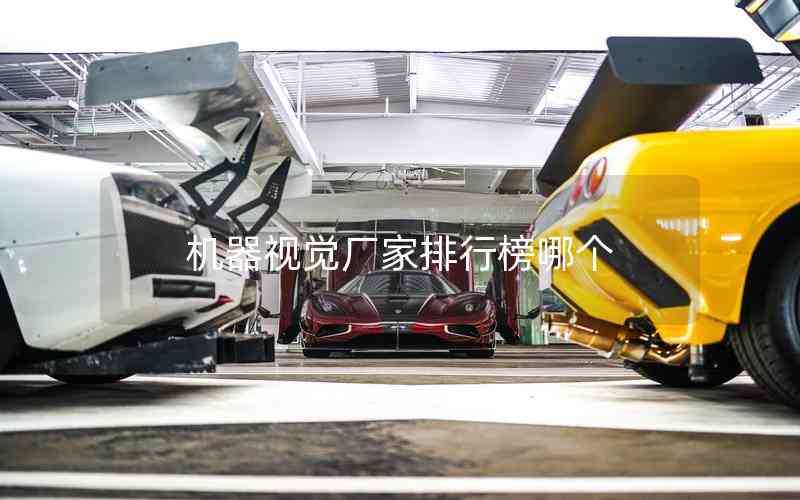 機(jī)器視覺廠家排行榜哪個 機(jī)器視覺廠家排行榜哪個