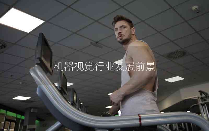 機(jī)器視覺行業(yè)發(fā)展前景 機(jī)器視覺行業(yè)發(fā)展前景