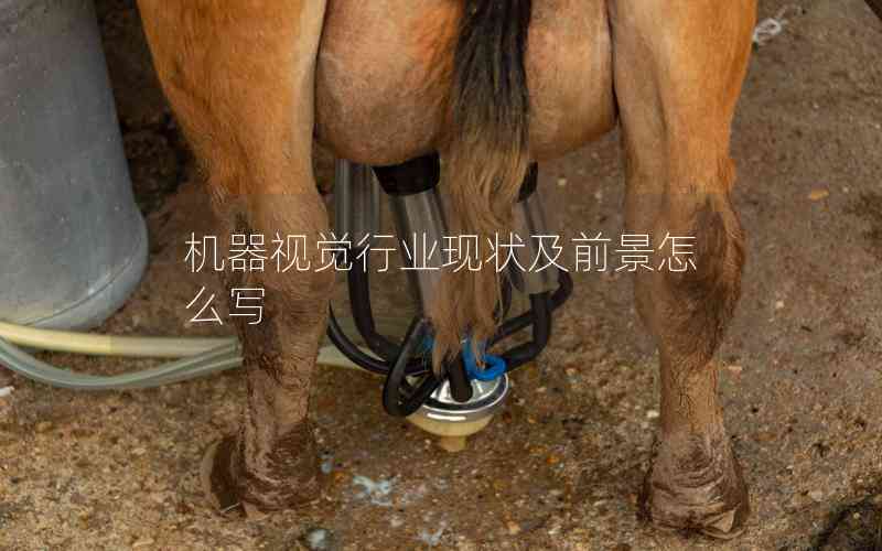機器視覺行業(yè)現(xiàn)狀及前景怎么寫