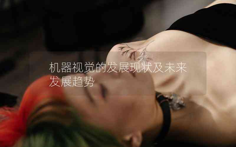 機器視覺的發(fā)展現(xiàn)狀及未來發(fā)展趨勢 機器視覺的發(fā)展現(xiàn)狀及未來發(fā)展趨勢