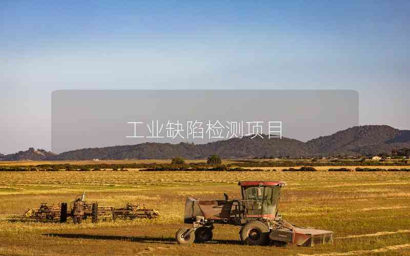 工業(yè)缺陷檢測項目 工業(yè)缺陷檢測項目