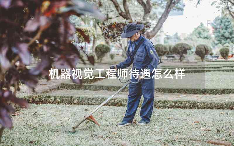 機器視覺工程師待遇怎么樣 機器視覺工程師待遇怎么樣