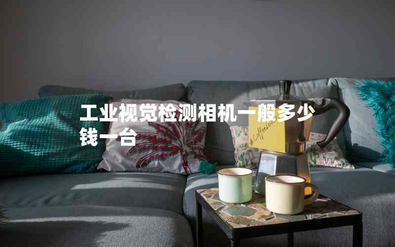 工業(yè)視覺檢測(cè)相機(jī)一般多少錢一臺(tái) 工業(yè)視覺檢測(cè)相機(jī)一般多少錢一臺(tái)