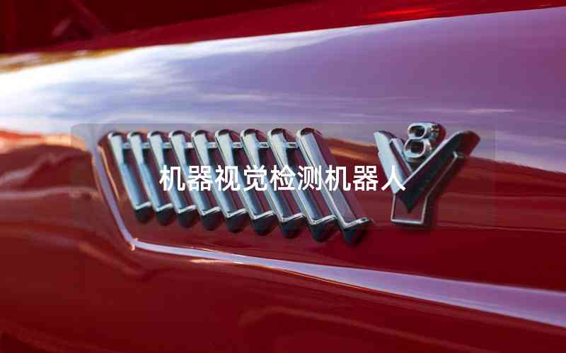 機(jī)器視覺檢測機(jī)器人 機(jī)器視覺檢測機(jī)器人