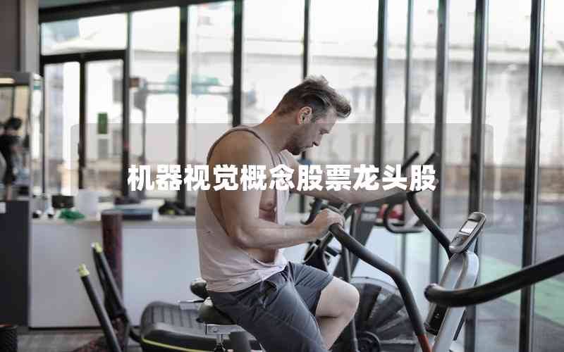 機器視覺概念股票龍頭股 機器視覺概念股票龍頭股