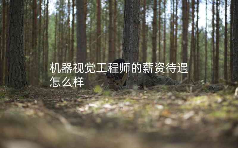 機(jī)器視覺工程師的薪資待遇怎么樣 機(jī)器視覺工程師的薪資待遇怎么樣
