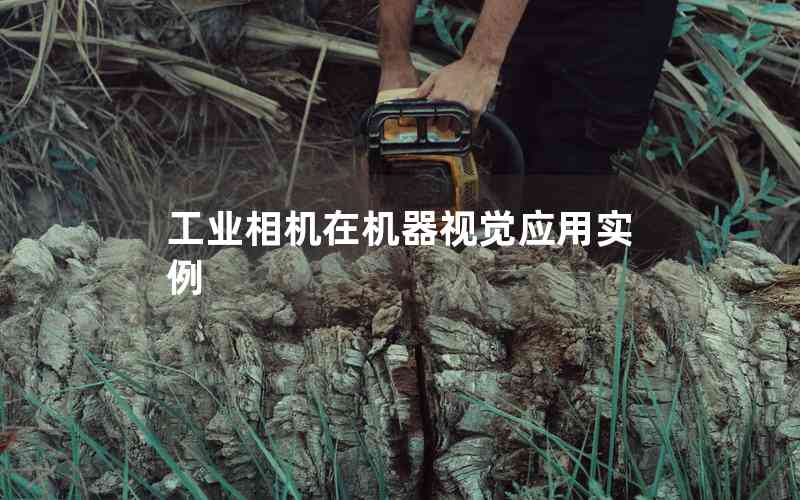 工業(yè)相機在機器視覺應用實例 工業(yè)相機在機器視覺應用實例