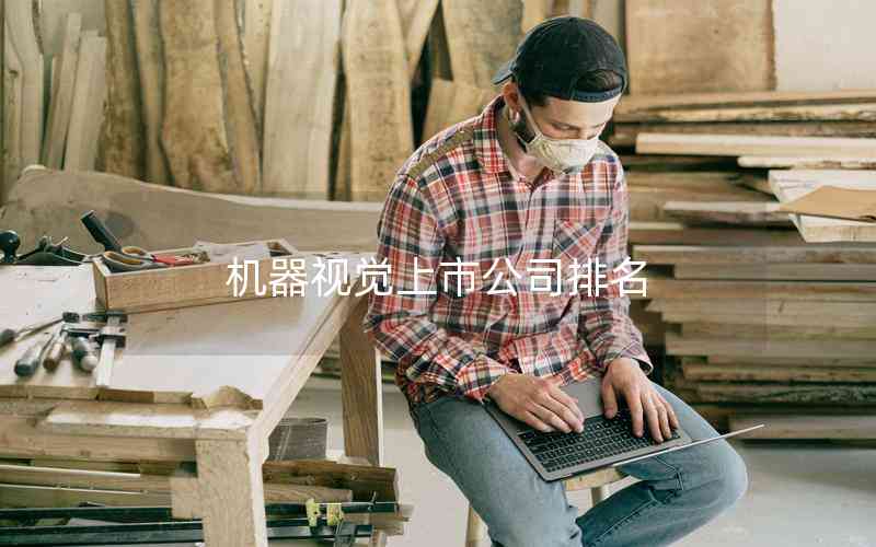 機器視覺上市公司排名 機器視覺上市公司排名
