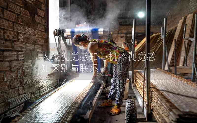 人類視覺感知與機器視覺感知區(qū)別與聯(lián)系 人類視覺感知與機器視覺感知區(qū)別與聯(lián)系