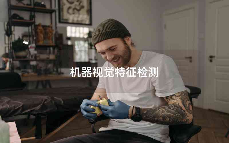 機(jī)器視覺特征檢測 機(jī)器視覺特征檢測