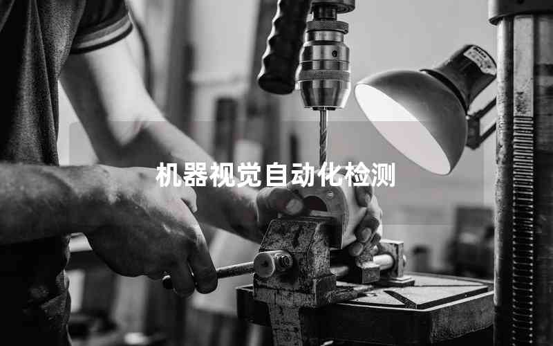 機器視覺自動化檢測 機器視覺自動化檢測