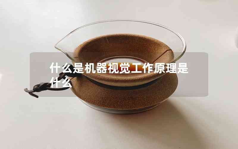 什么是機器視覺工作原理是什么 什么是機器視覺工作原理是什么