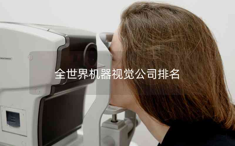 全世界機器視覺公司排名 全世界機器視覺公司排名
