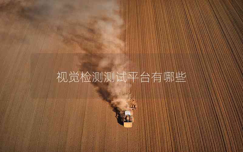 視覺檢測測試平臺有哪些